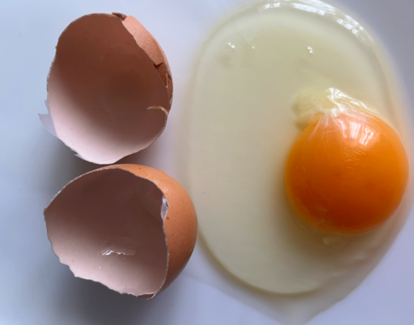 Питательные вещества в яичном желтке