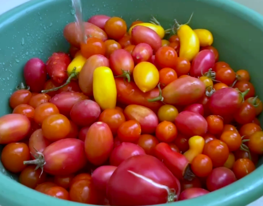 Как приготовить вяленые помидоры без духовки