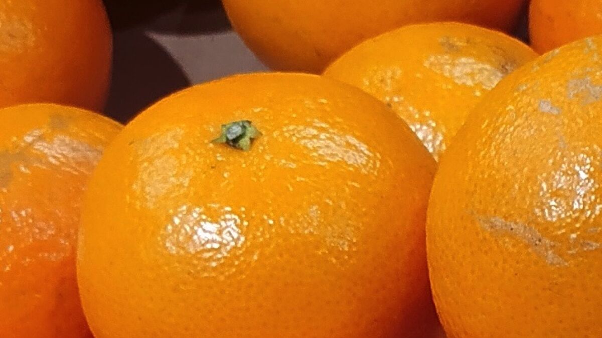Апельсин есть вечером. Апельсины при похудении. Синие апельсины существуют. Апельсинки для бывшего. Можно есть апельсины на ночь.