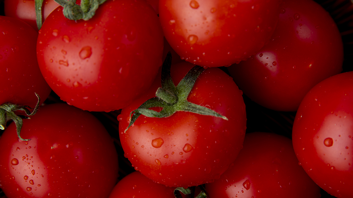 Че�� опрыскать помидоры до и после завязи: будут гигантские и сочные —список на июнь